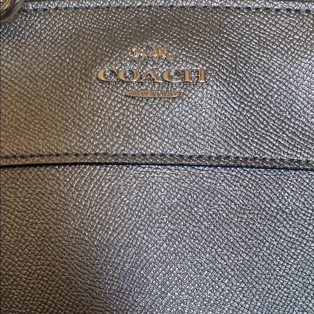 COACH Brooke Silver Snake Print Leather Handbag / Crossbody